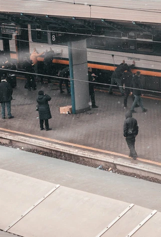 Senyk_-2.jpg